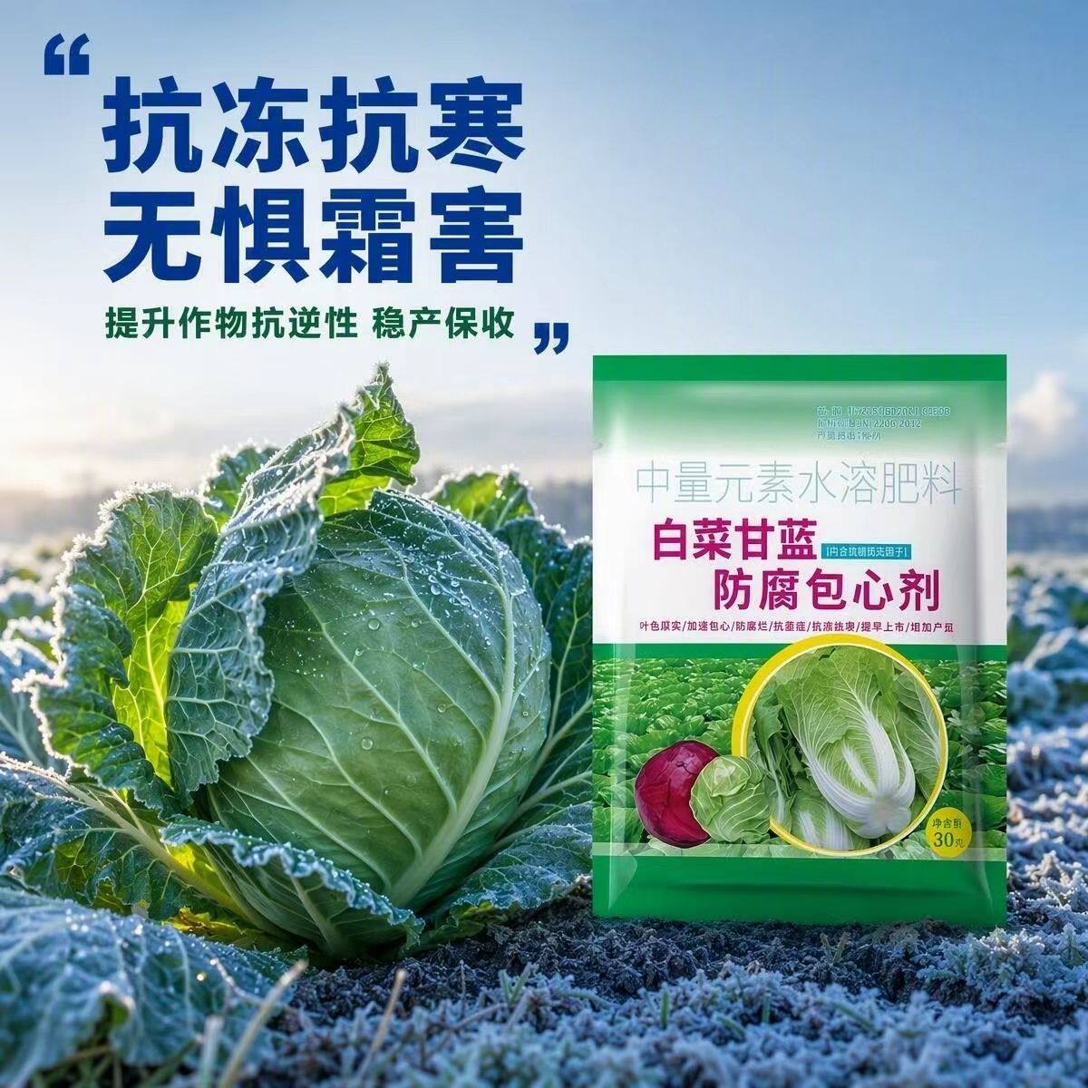 农用肥白菜甘蓝防腐包心剂叶片厚实根系发达预防专用水溶肥料正品