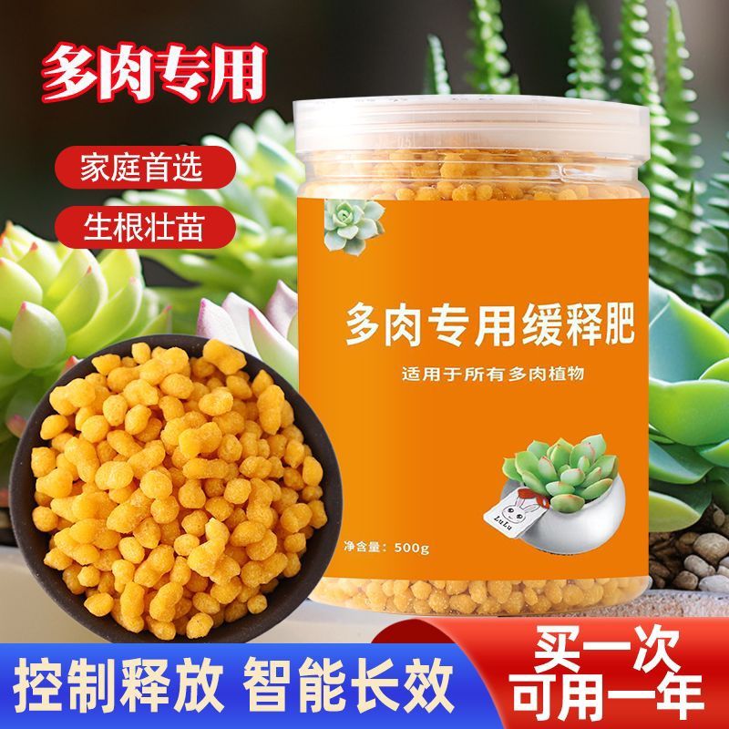 多肉肥料专用肥花卉绿植