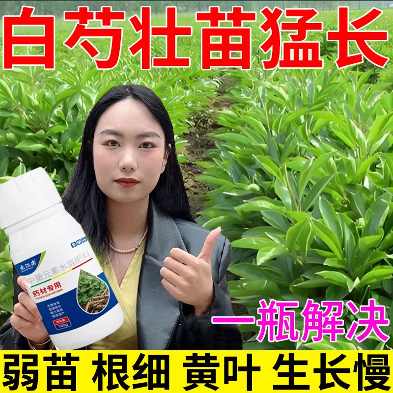 白芍专用膨大剂地下根茎