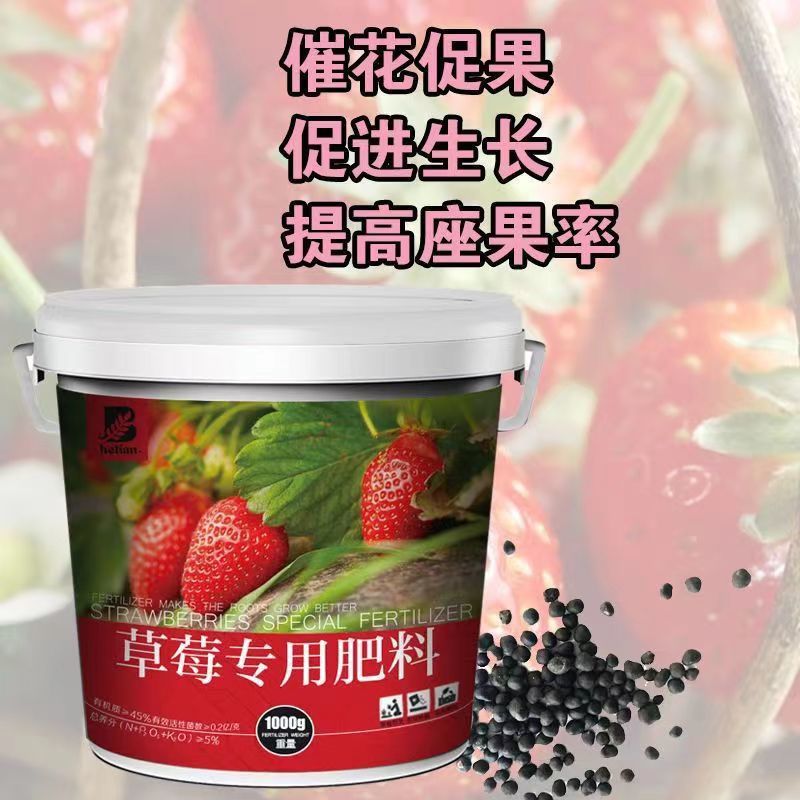草莓肥料专用肥有机肥花