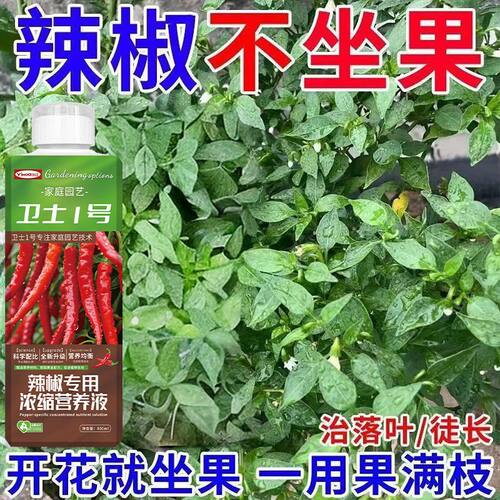 辣椒专用肥提苗爆长生根