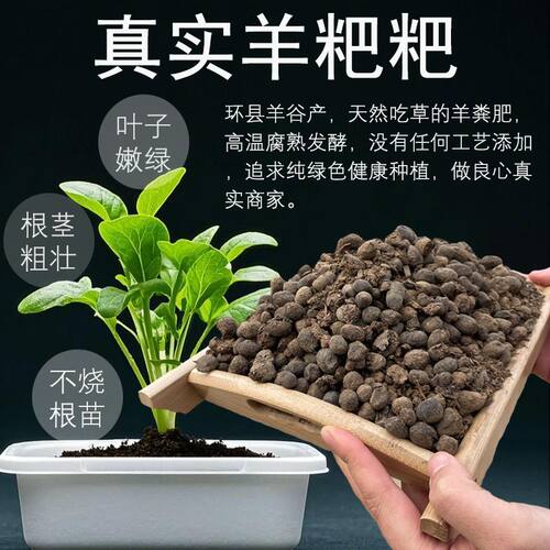 羊粪发酵有机肥蛋颗粒种