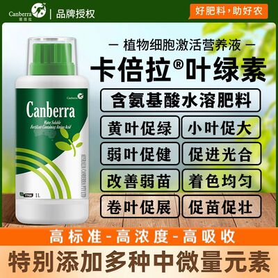 卡倍拉叶绿素生根提苗叶
