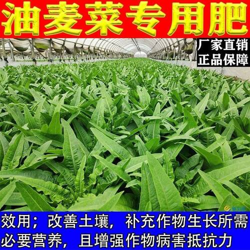 油麦菜专用肥料强力缓释