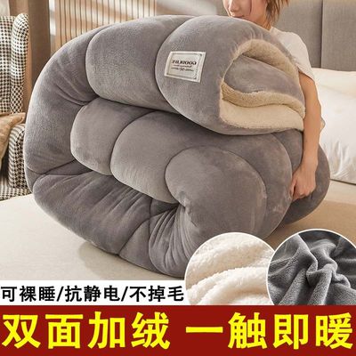 冬季双面牛奶绒被子冬被加厚保暖珊瑚绒棉被单人学生宿舍冬天被芯