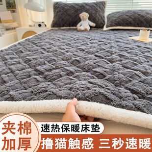 塔芙绒牛奶绒床垫软垫家用垫被褥子加厚毛毯垫褥秋冬保暖床褥垫子