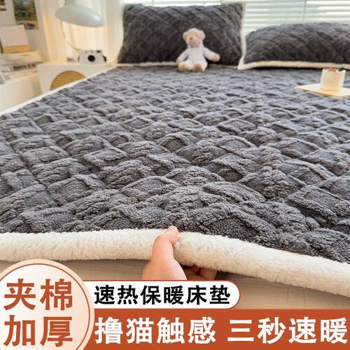 塔芙绒牛奶绒床垫软垫家用垫被褥子加厚毛毯垫褥秋冬保暖床褥垫子