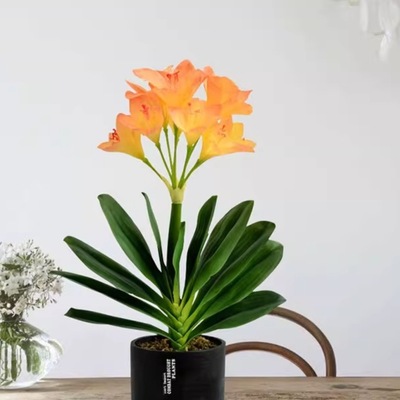 君子兰盆景花假花套装绿植室内客厅电视玄关柜摆放吧台装饰花