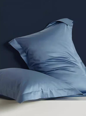 特大枕套蓝色床上用品家用一对装全棉纯棉整头套加大号枕头套