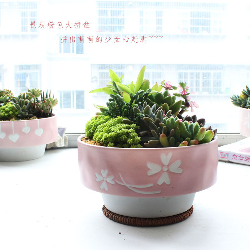 德化陶瓷粉色可爱少女心大口径拼盘多肉花盆群生盆屁屁花专用盆