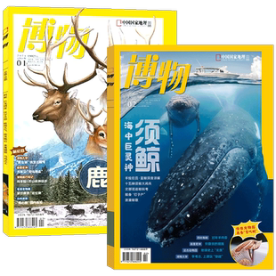 博物 26年4月 鼯鼠：暗夜飞侠】博物杂志2026年1/2/3/4/5/6/7/8/9/10/11/12期 椰子 中国国家地理青少年版 （2024年典藏