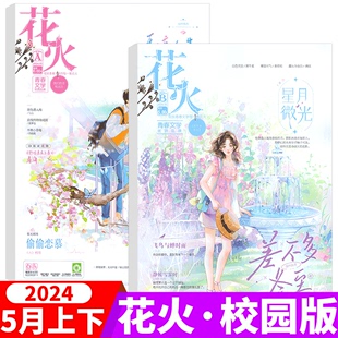 花火杂志 校园版 非全彩版 青春文学系列 另有2023年6 12月AB 2024年5月AB 夏七夕主编言情小说期刊