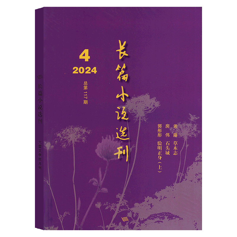 长篇小说选刊杂志2026年可选