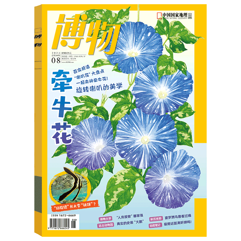 【蟑螂】 博物杂志2025年11月/期 25年增刊 《远古动物园》怪怪宠物箱/  典藏 订阅 2025年1/2/3/4/