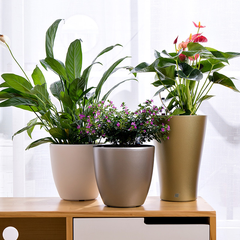 白色圆形懒人盆栽免浇水绿萝现代风大号桌面清仓自吸收水花盆包邮