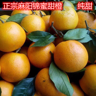 麻阳纯甜锦蜜冰糖橙当季新鲜水果现摘湖南甜橙手剥橙子9斤包邮