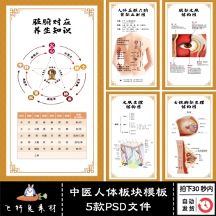 中医人体板块模板中医养生调理推拿按摩针灸全身血位图KT板PS素材