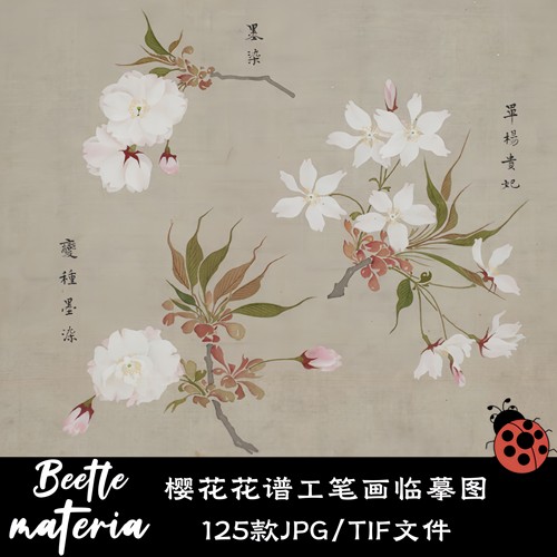 125款古风古典工笔画樱花花谱井绚国画花卉绘画临摹参考设计素材