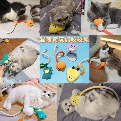 猫玩具玩偶咬咬绳自嗨解闷神器逗猫棒耐咬幼猫小猫磨牙棒宠物用品