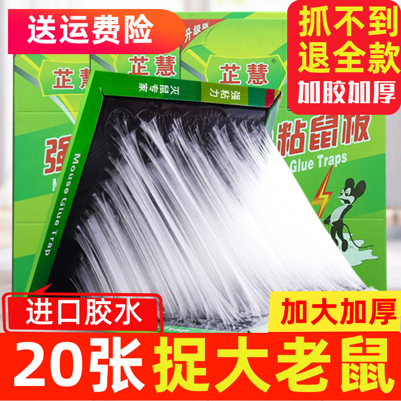 超强力粘鼠板捉抓粘大老鼠贴沾胶夹笼捕鼠灭鼠神器克星家用一窝端-封面