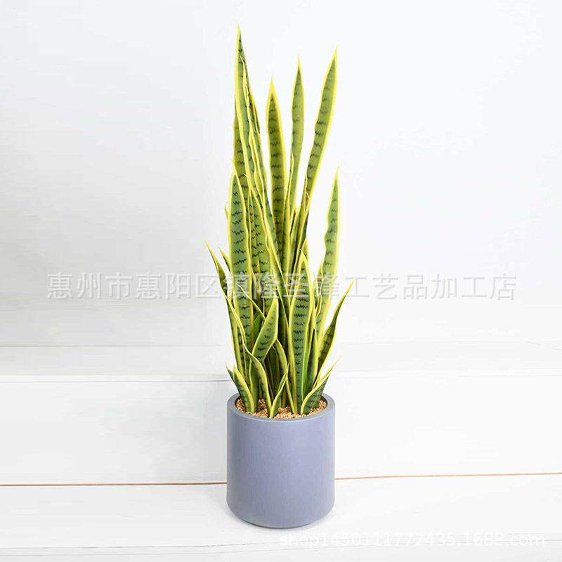 新款金边虎皮兰盆栽大号假绿植装饰落地热带沙漠植物橱窗摆件