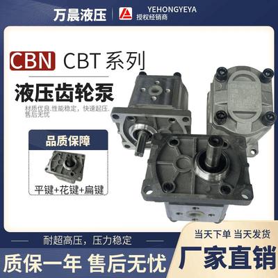 液压齿轮泵CBN-T304-325高压小型齿轮泵左旋右旋液压泵总成全系列