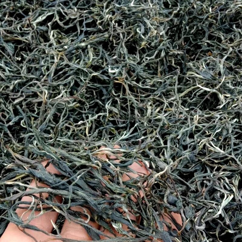26年500g头春普洱生茶散茶香甜晒青毛茶临沧南箐河大树生普实惠装