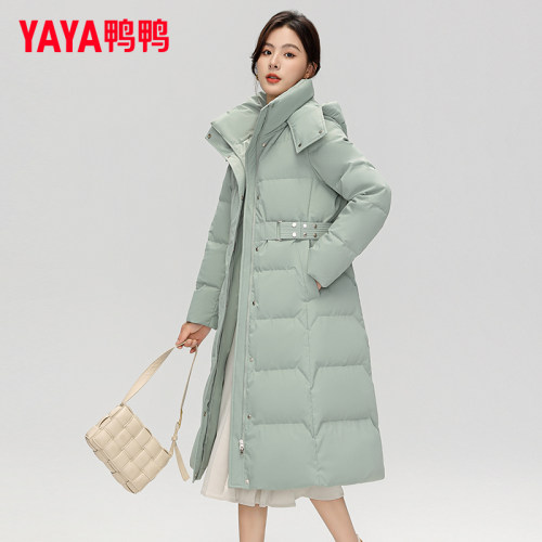 连帽长款女士羽绒服鸭鸭时尚