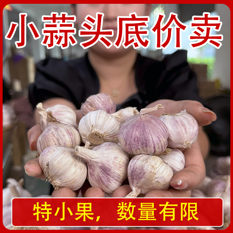 今年新干蒜10斤大蒜农家自种