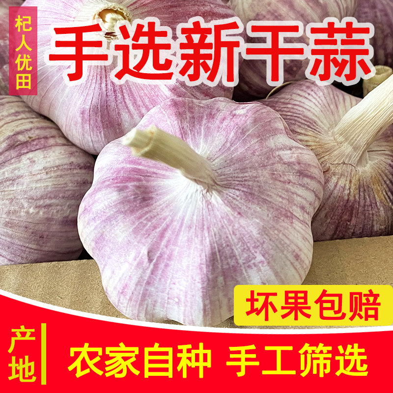 杞人优田新干蒜优质推荐