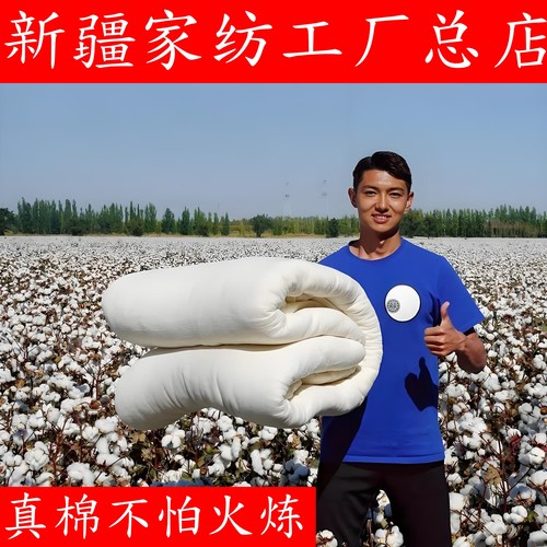 新疆直发100%一级长绒棉被棉絮