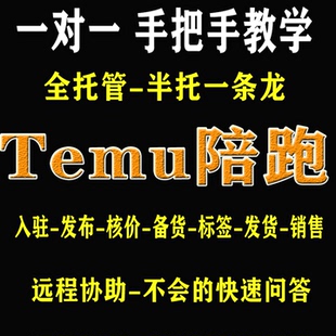 跨境拼多多TEMU陪跑一对一代运营教学指导入驻到销售全程远程包会