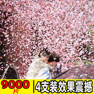 【9000片】花瓣雨结婚婚礼净梦芙