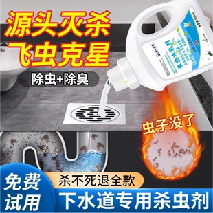 室内清理下水道屋里有去除卫生间小黑虫杀虫剂小飞虫家里克星厕所
