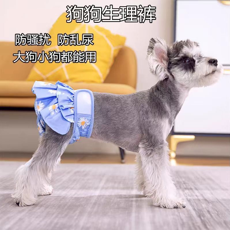 狗狗生理裤母狗夏季宠物生理裤狗狗生理期内裤母狗生理裤性感姨妈