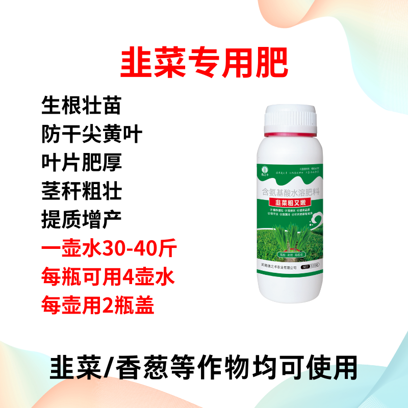 逸之丰韭菜粗又嫩叶绿厚韭菜粗又壮抗倒伏黄叶干尖卷叶根壮植株壮