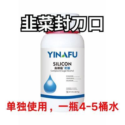 町靓韭菜封刀口叶面肥 刀口圆润光滑 茎叶黑亮 直立硬朗抗倒伏