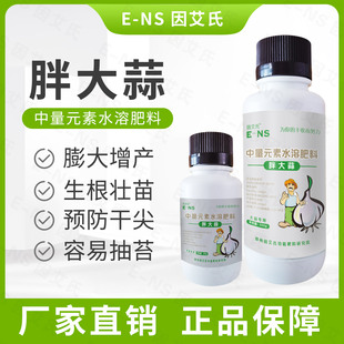 因艾氏胖大蒜 大蒜专用膨大增产提质预防干尖黄叶生根壮苗易抽薹