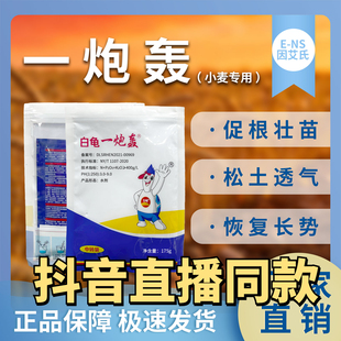 因艾氏白龟一炮轰小麦种植专用促根壮苗松土透气恢复长势微生物肥