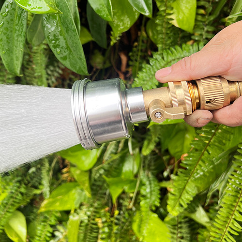 浇花专用水管喷头浇水神器自动浇水2000目育苗水枪兰花家用淋喷雾