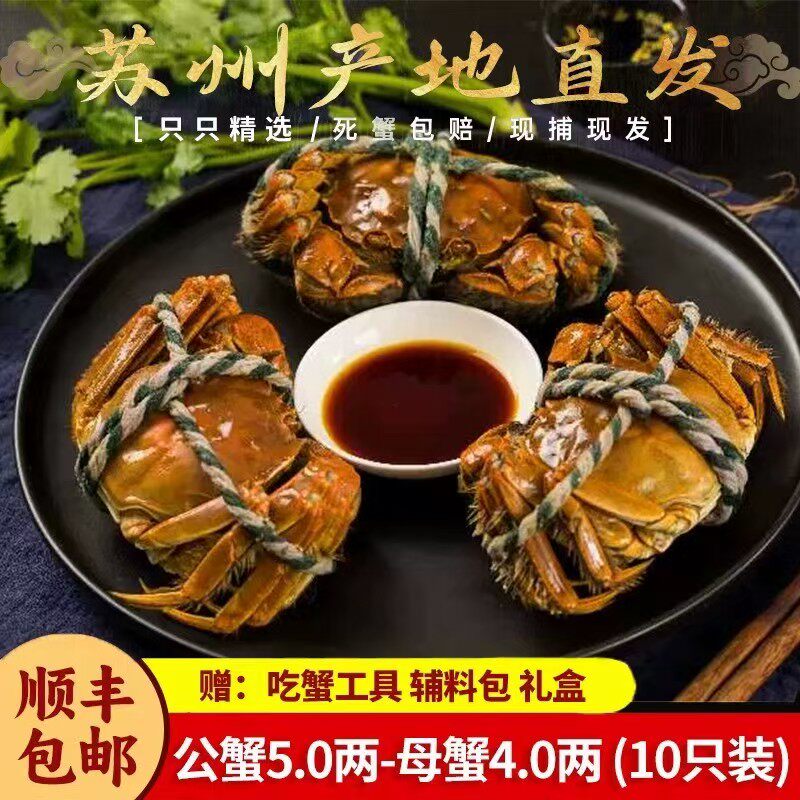 精品挑膏兴化大闸蟹活蟹黄河蟹香大闸蟹