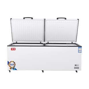 冷柜铜管速冻卧式冷柜大冰柜冷藏冰柜商用大容量小冰柜冷冻柜家用