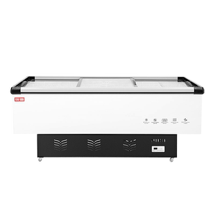 冰柜商用大容量冷柜冰箱冷藏展示柜保鲜冷冻两用岛柜卧式玻璃雪柜