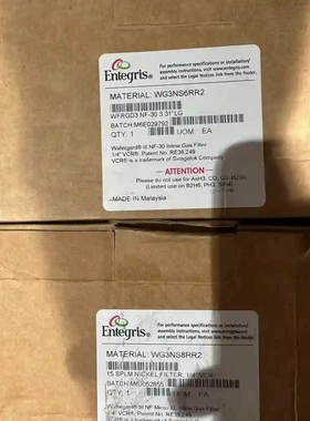 美国ENTEGRIS气体过滤器，WG3NS6RR2 WG议价
