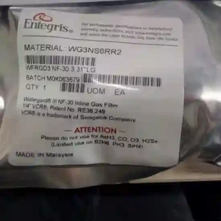 美国ENTEGRIS英特格气体过滤器WG3NS6RR2全议价