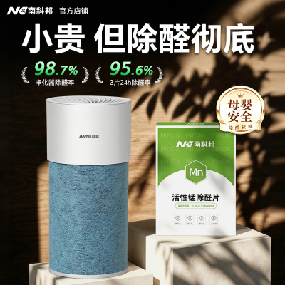 南科邦除甲醛活性锰空气净化器新房装修急入住清除剂分解除味神器