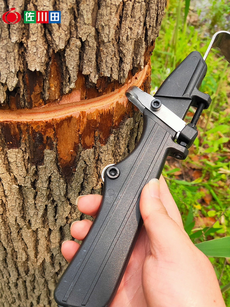 佐川田果树刮皮环剥一体刀剥皮剪刀开甲器枣树橘子树环割剥皮工具