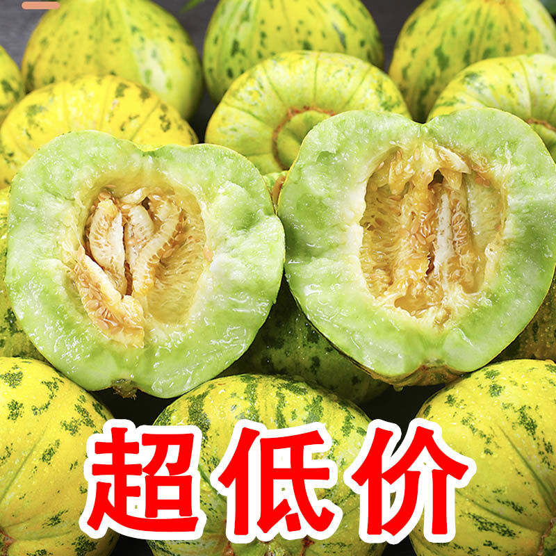 香瓜甜瓜东北香瓜新鲜土香瓜八里香花蕾吉林大瓜脆甜现摘现发应季