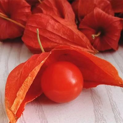 红姑娘果新鲜野生东北菇娘皮苦大果灯笼果正宗姑娘特产洋姑娘泡水