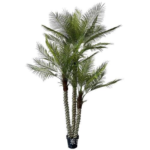 仿真针葵树婚庆椰子树假植物造景摆件室内仿生绿植棕榈树景观装饰